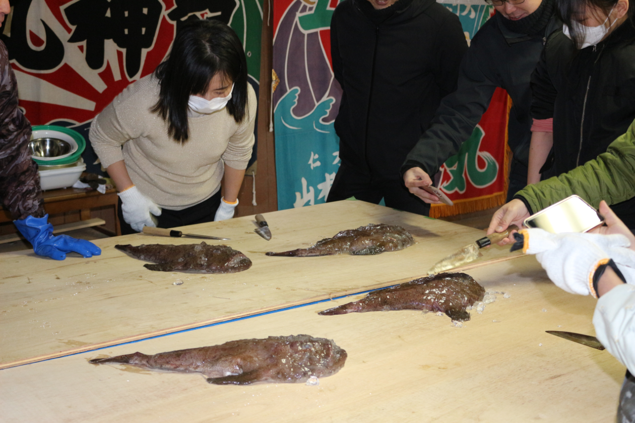 大田市レジャーアイランド海賊村（第二漁勢丸）でアンコウ捌き体験の様子