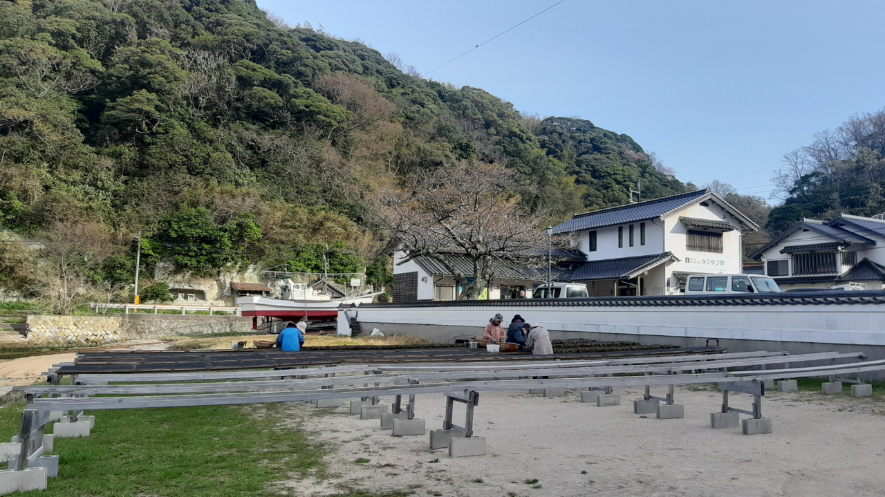 温泉津の「天然わかめ」