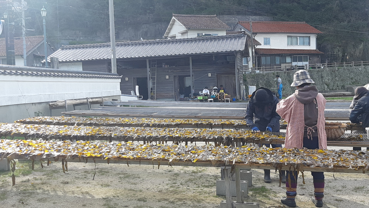 温泉津の「天然わかめ」