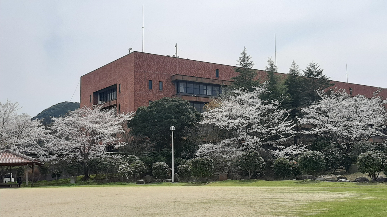 宮崎公園の桜