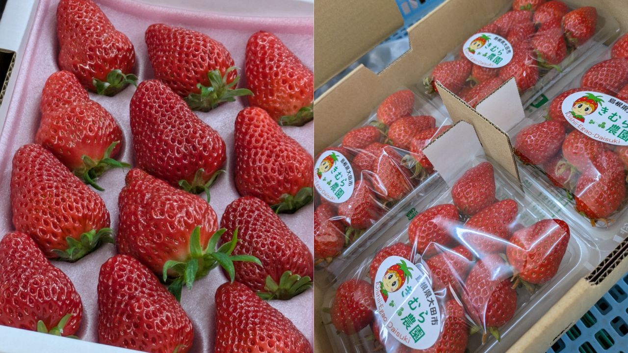 きむら農園のいちご