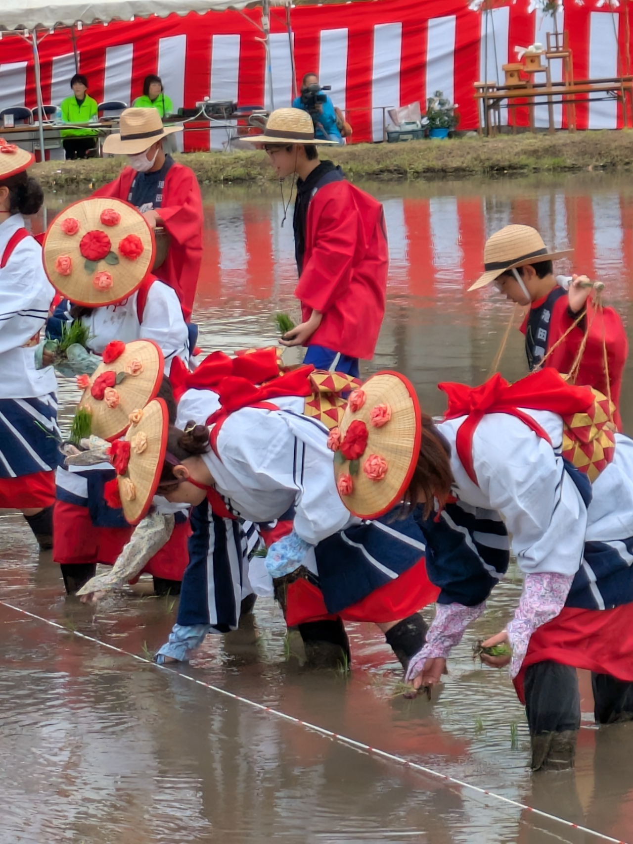 三瓶町池田地区「花田植え」