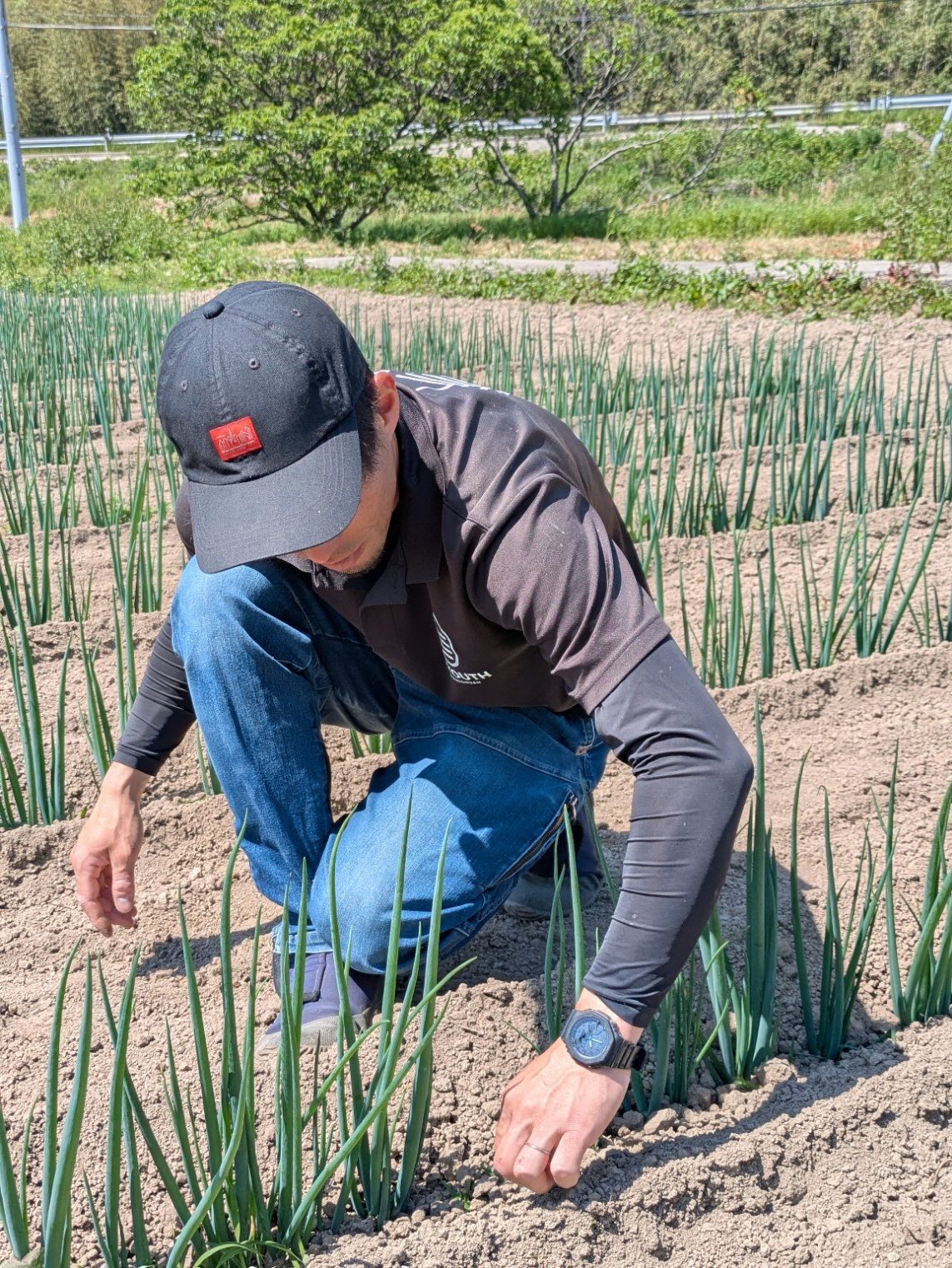 FARM SHIMIZU