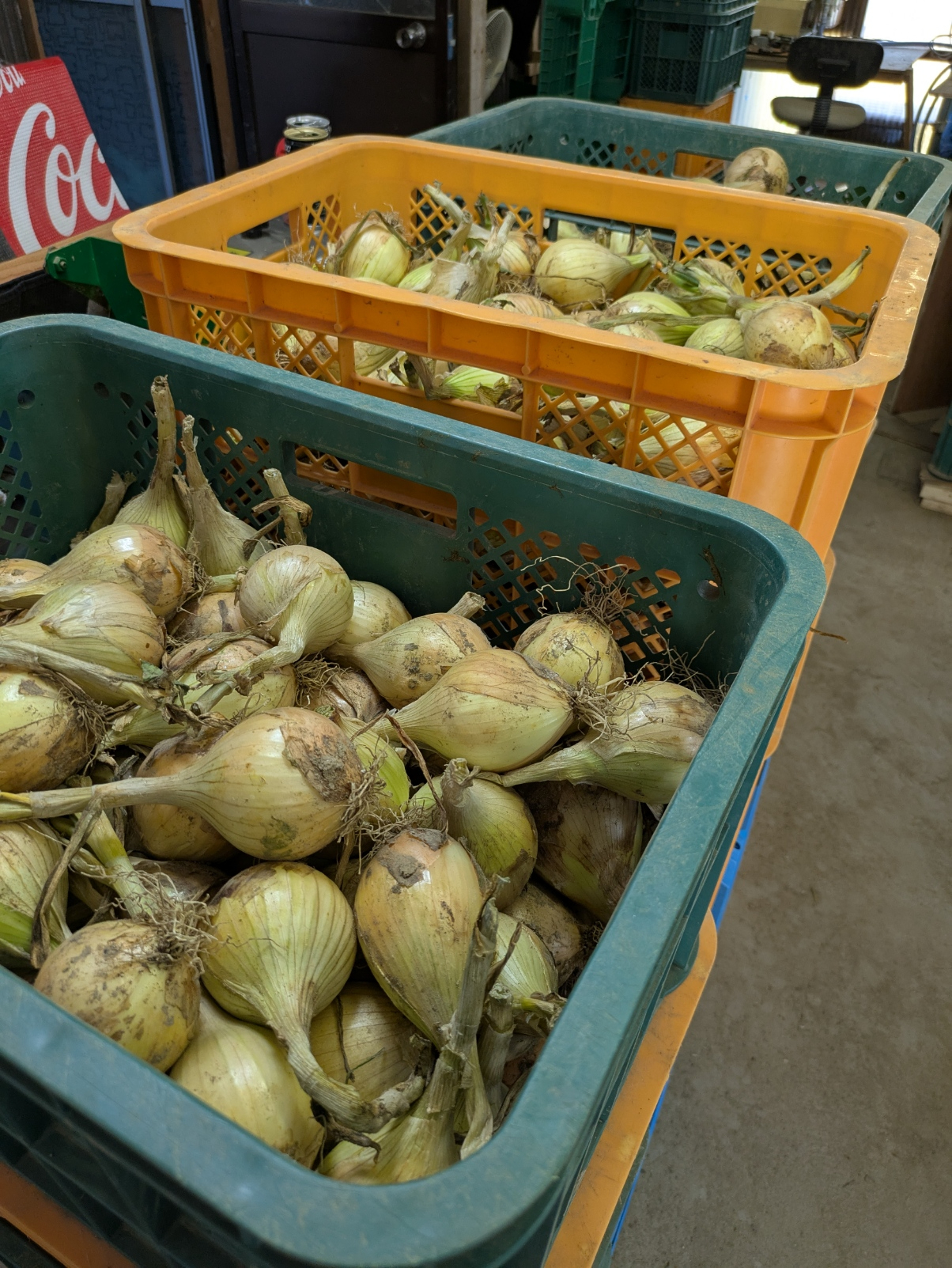 FARM SHIMIZU