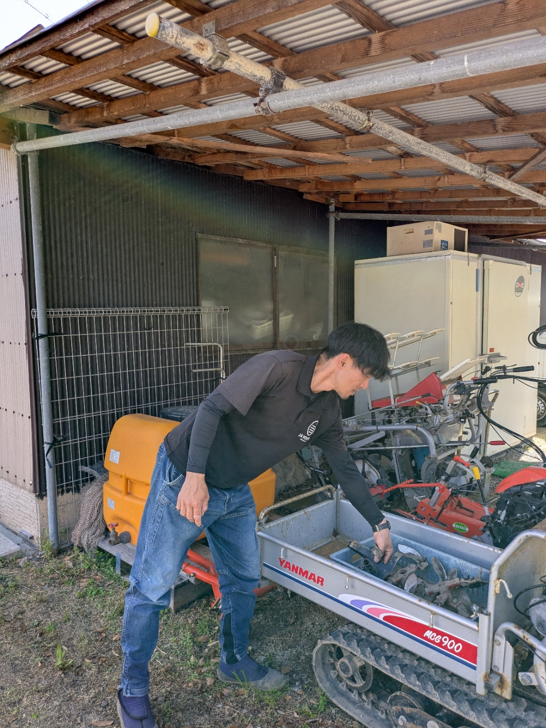 FARM SHIMIZU