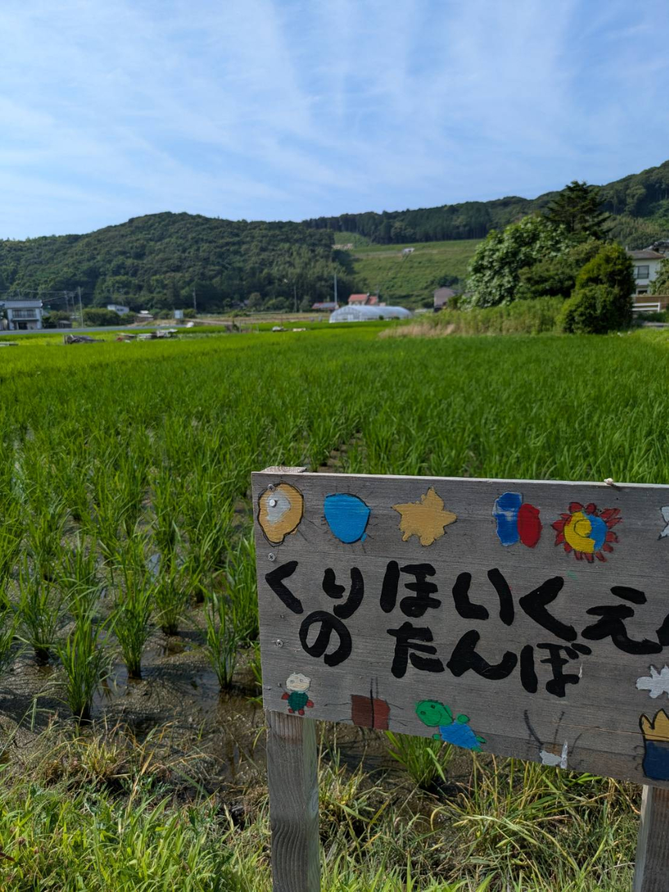 稲の前にある保育園の看板