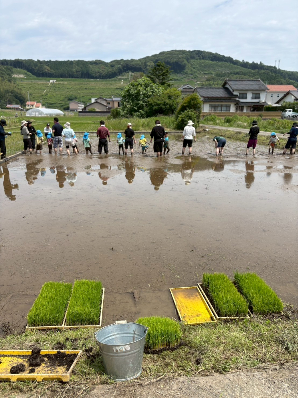 田植え中の親子