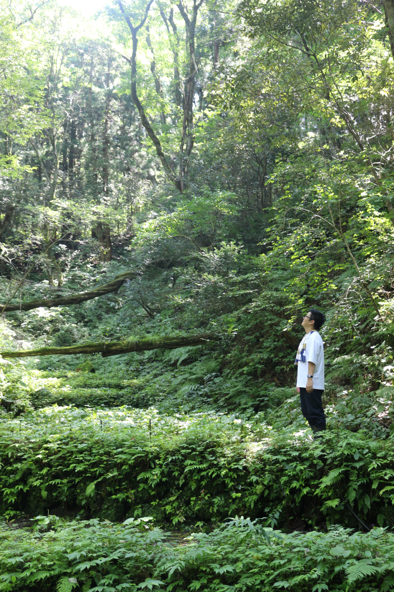 三瓶わさびエクスペリエンスツアーの時の様子