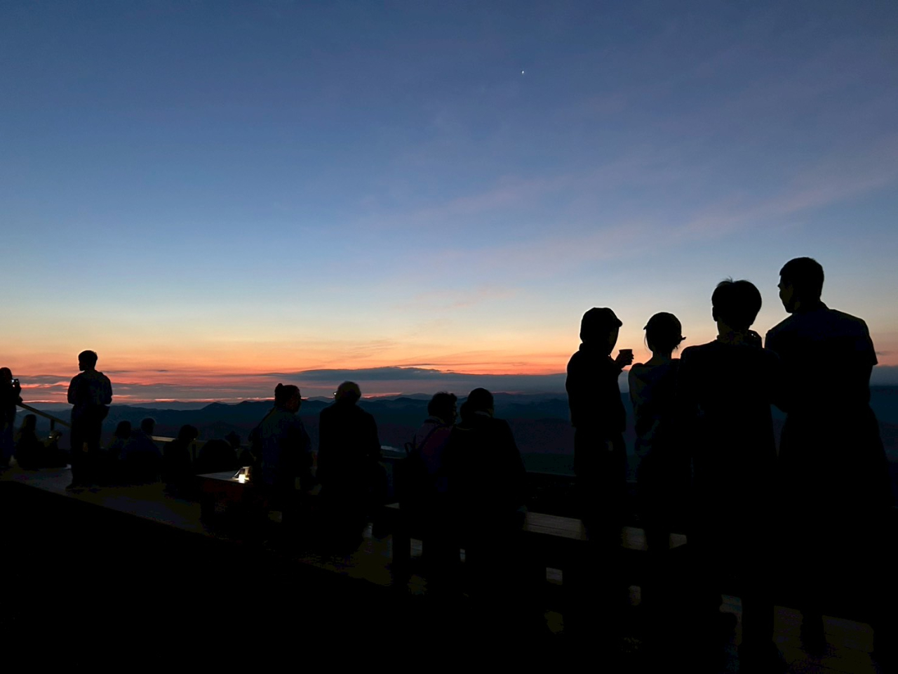 人気イベントの舞台裏と広がる魅力