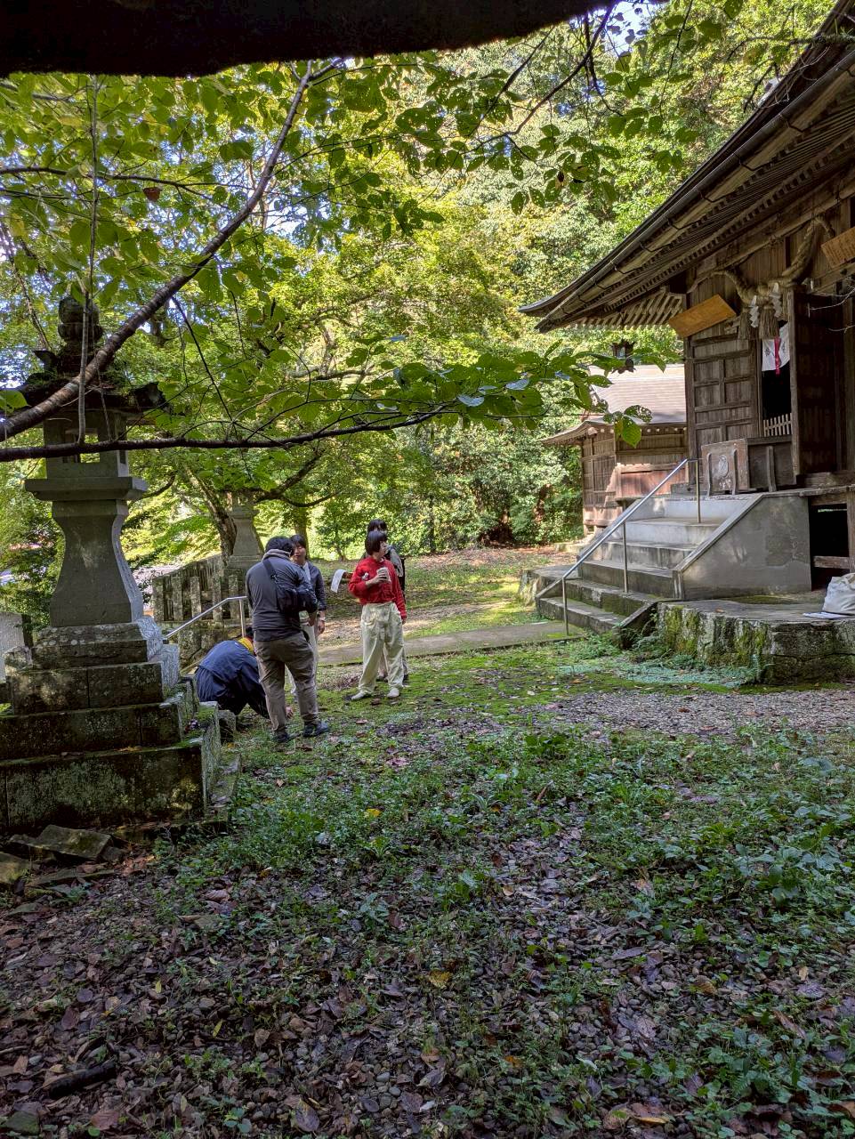 植物を探している様子
