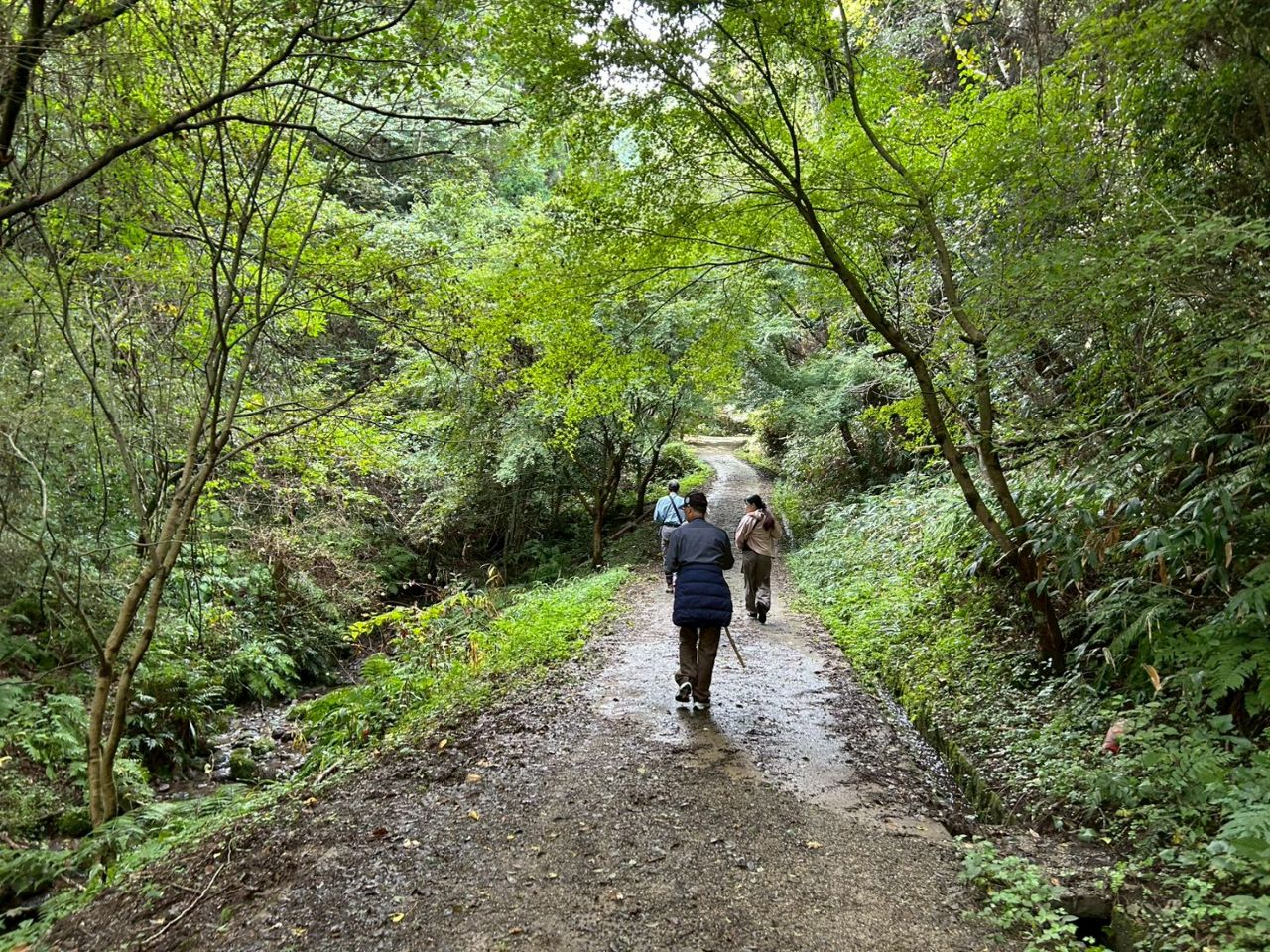 大久保間歩一般公開限定ツアー