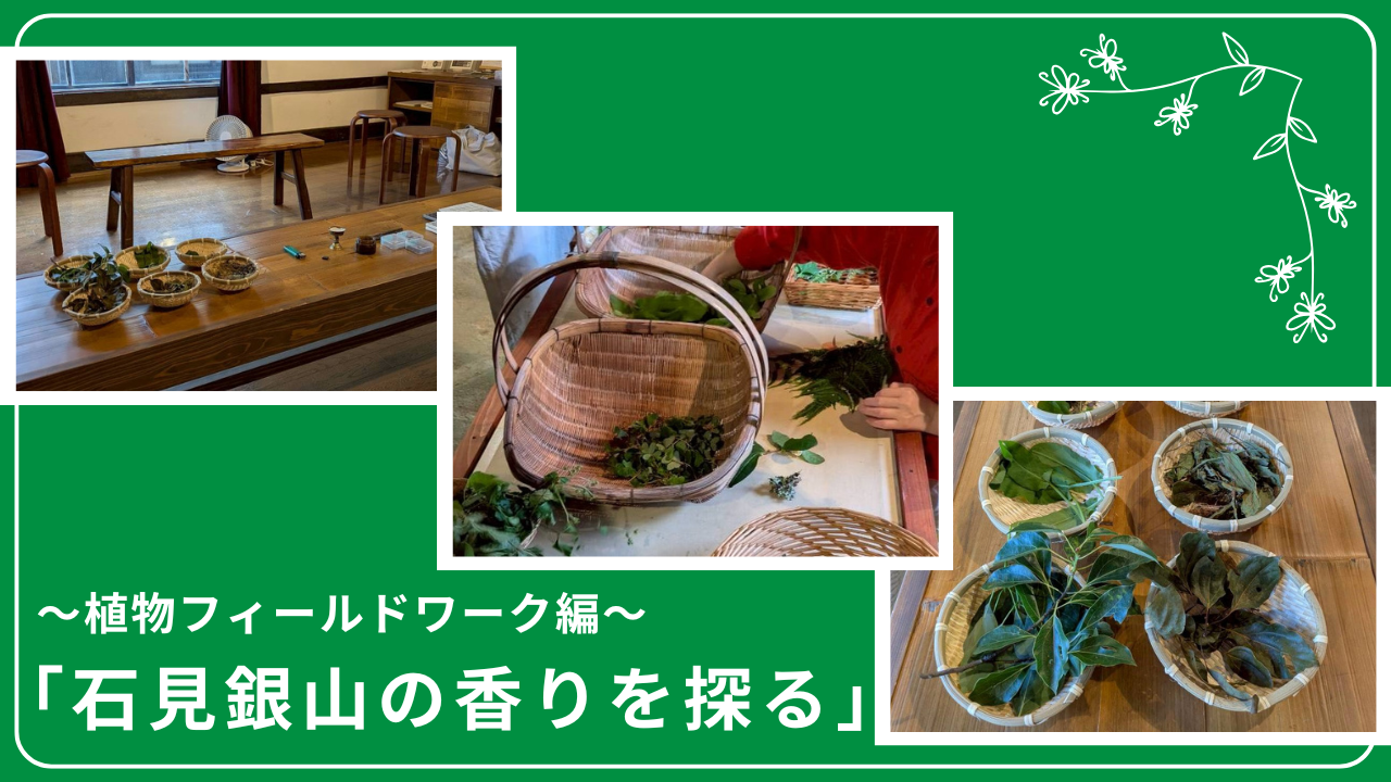 「石見銀山の香りを探る」~植物フィールドワーク編~