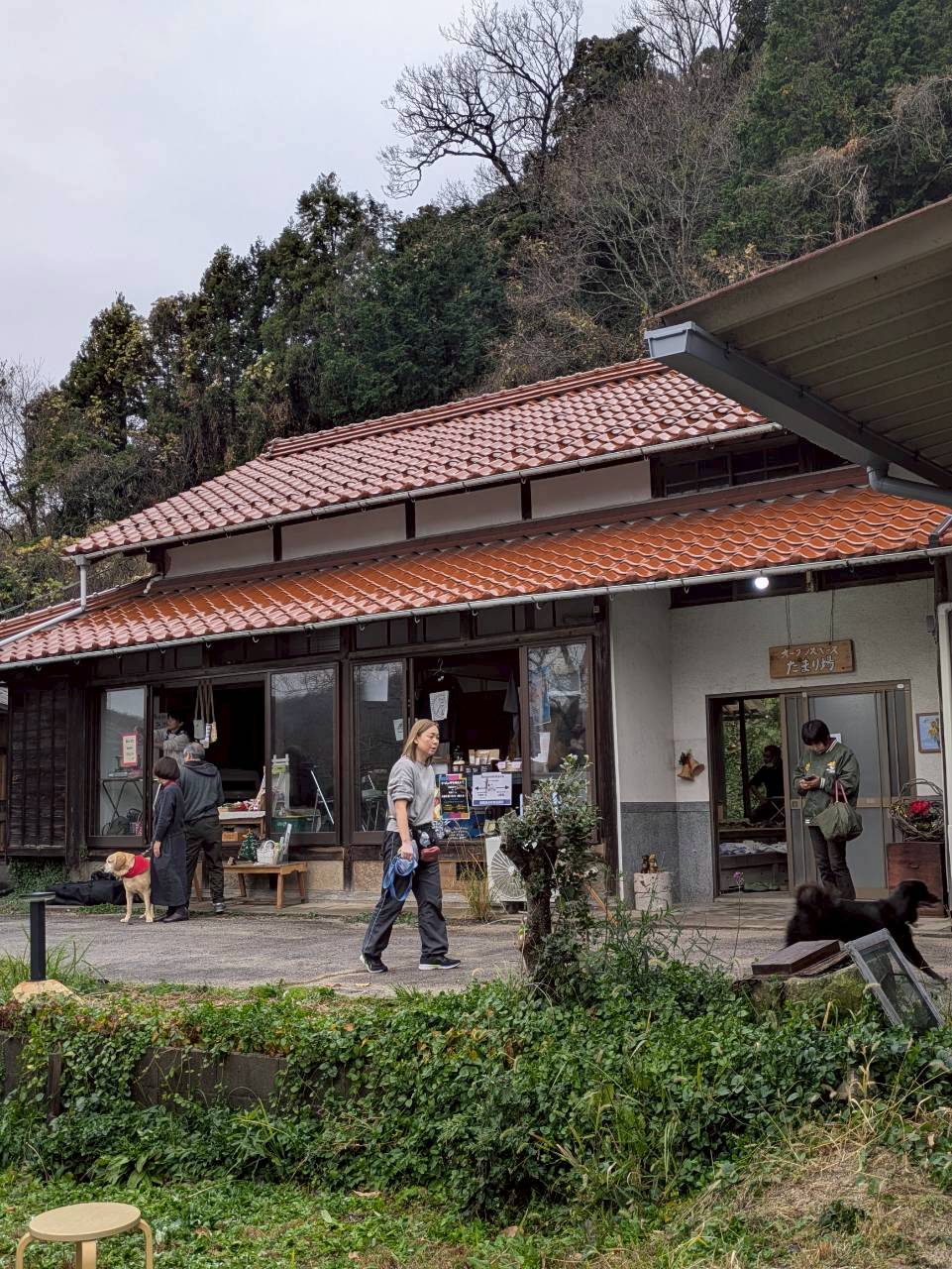里山桃源郷 空庭ドックラン