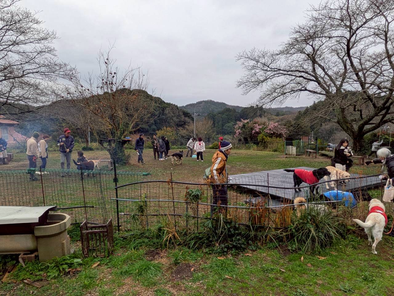 里山桃源郷 空庭ドックラン