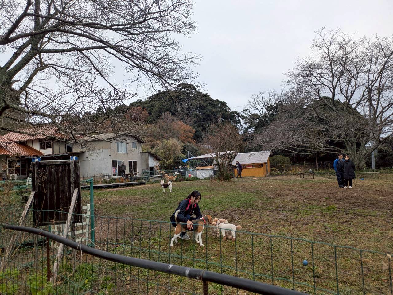 里山桃源郷 空庭ドックラン