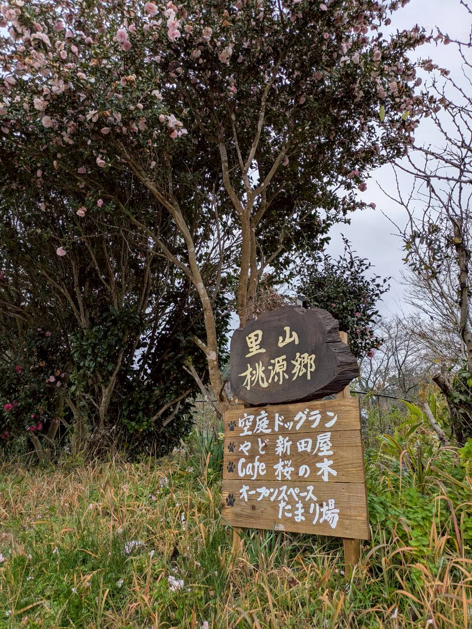 里山桃源郷 空庭ドックラン