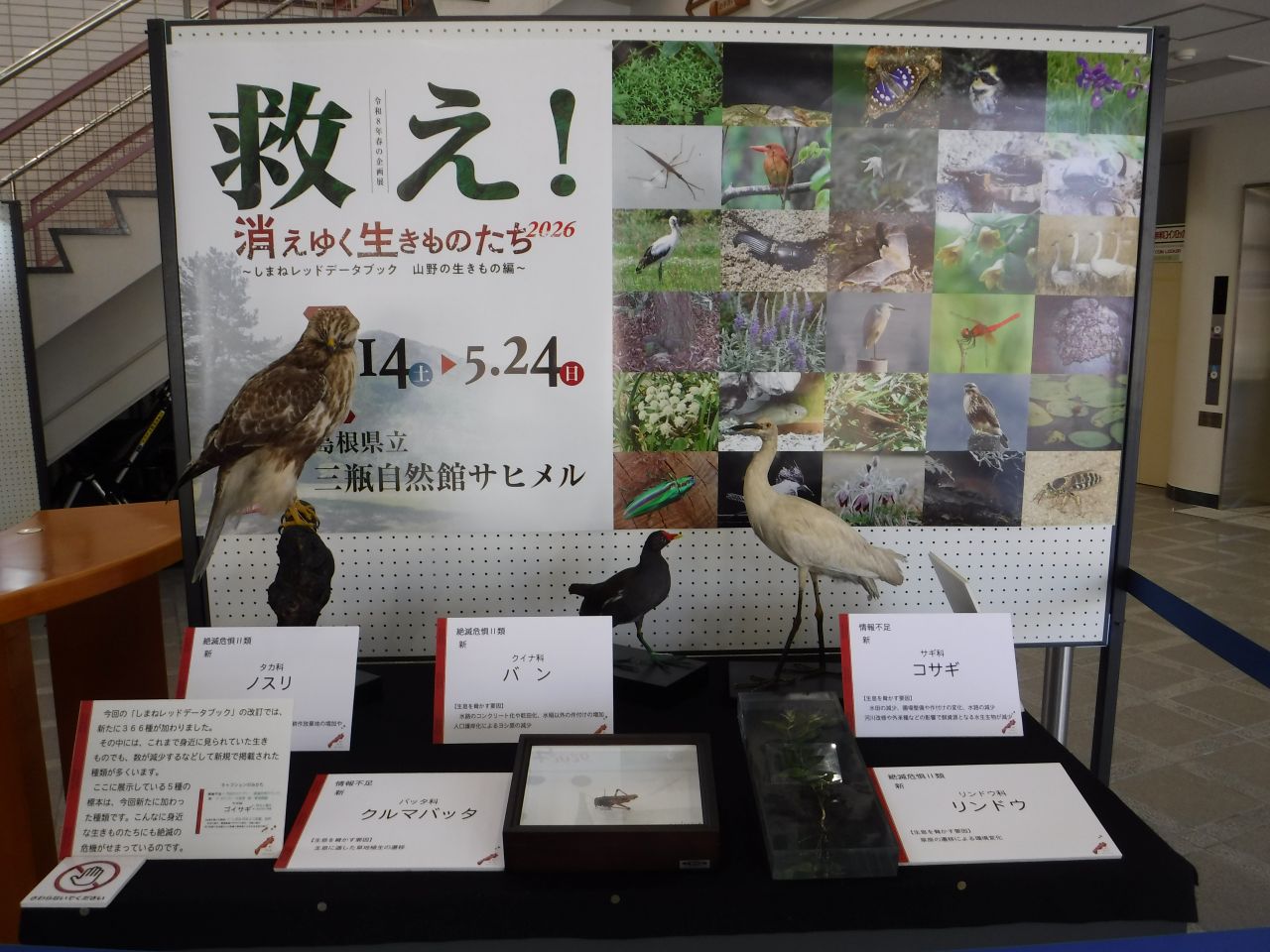 三瓶自然観サヒメル救え!消えゆく生きものたち