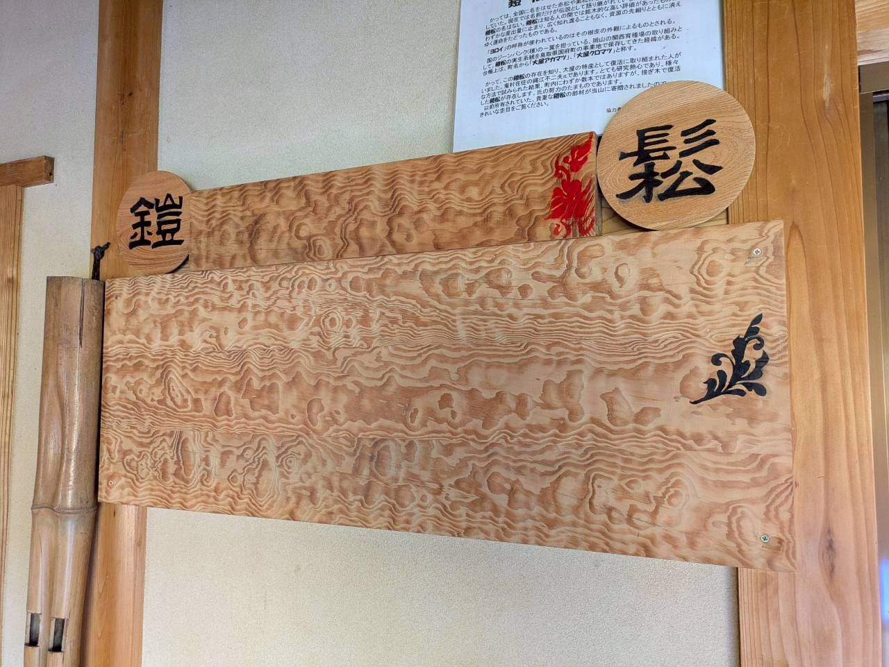 浄宗寺の製材された鎧松